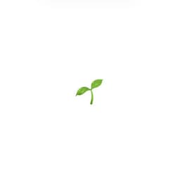 Achit Pin (အချစ်ပင်)