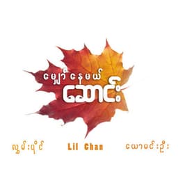Myaw Nay Mal Saung (မျှော်နေမယ်ဆောင်း)