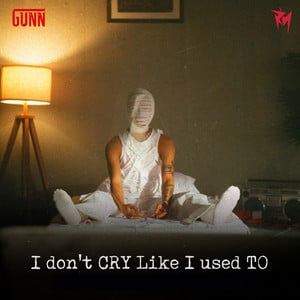 I Don't Cry Like I Used To